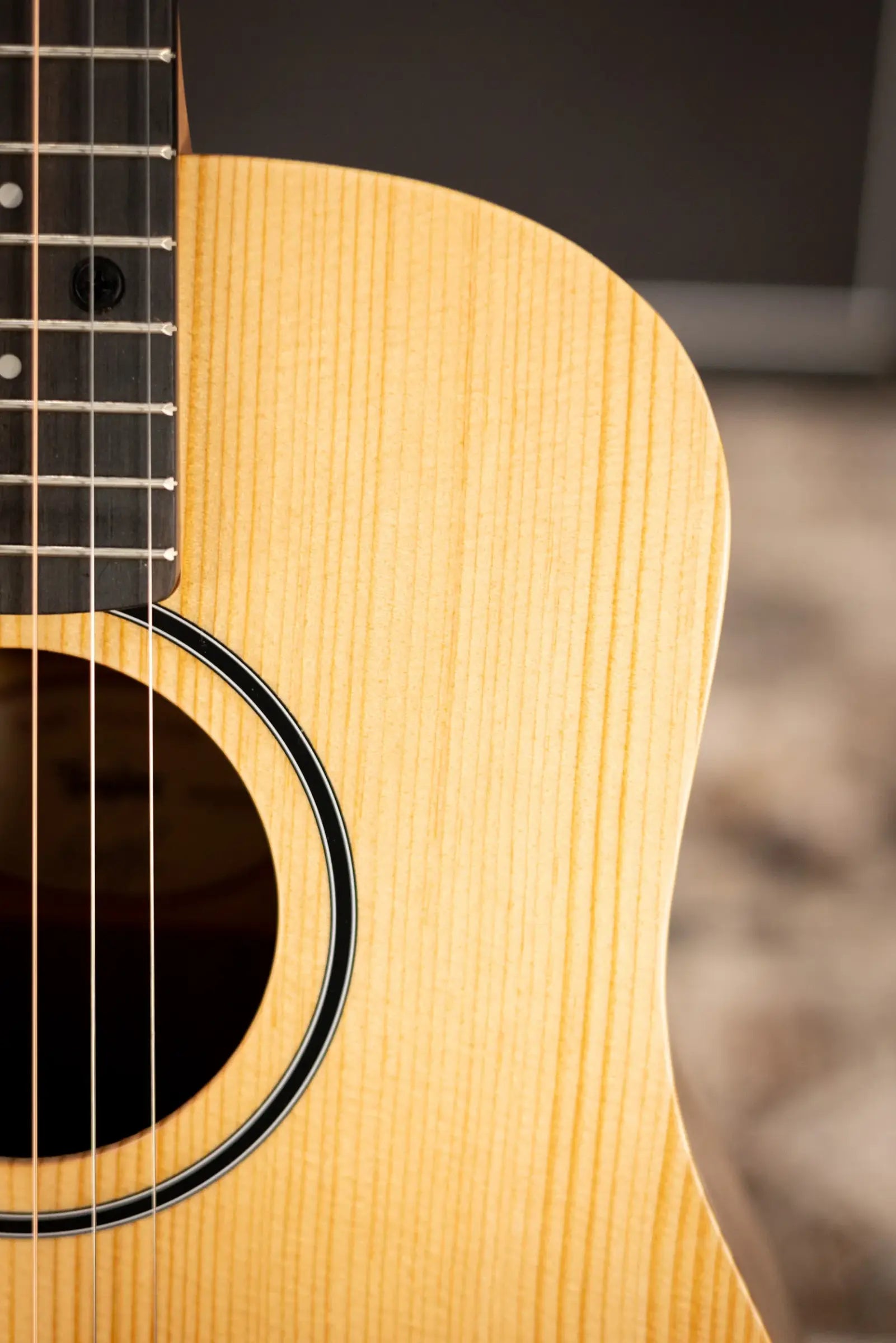 Taylor BT1 Baby Taylor Acoustic Guitar with Gig Bag