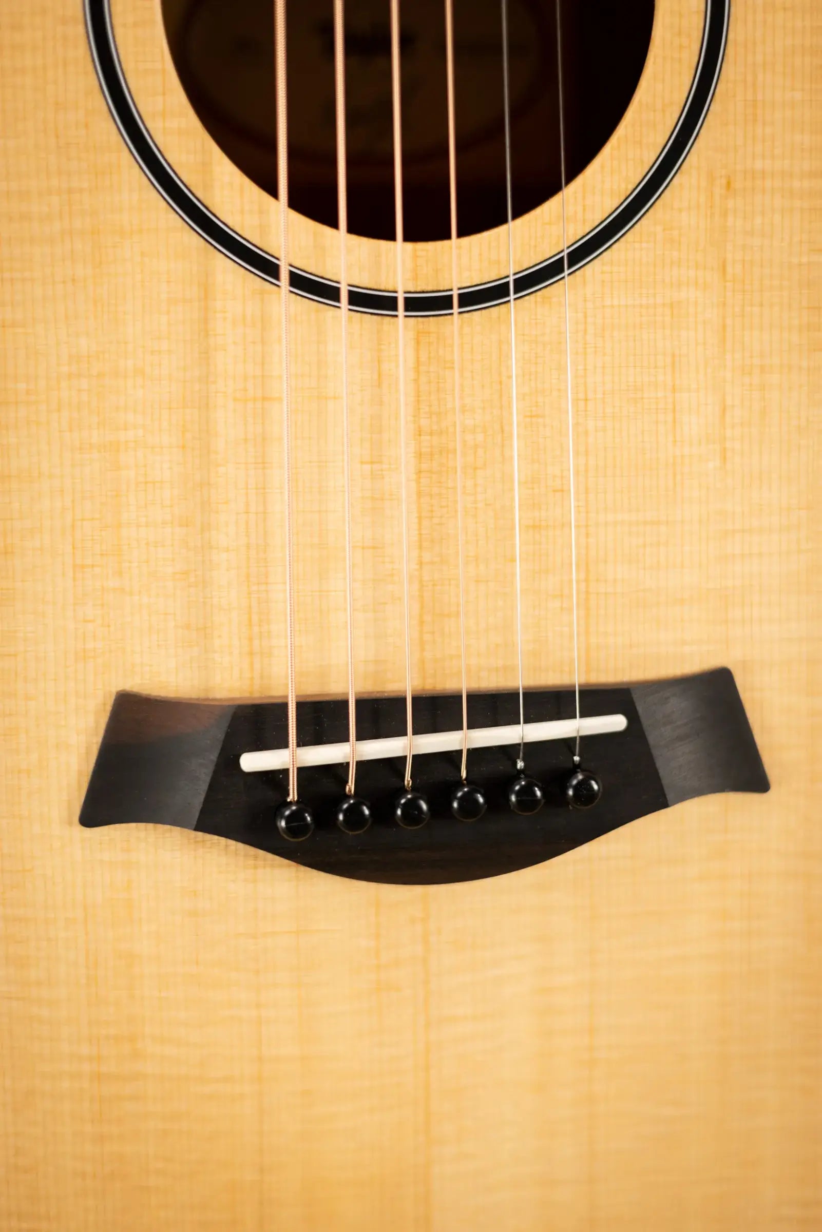 Taylor BT1 Baby Taylor Acoustic Guitar with Gig Bag