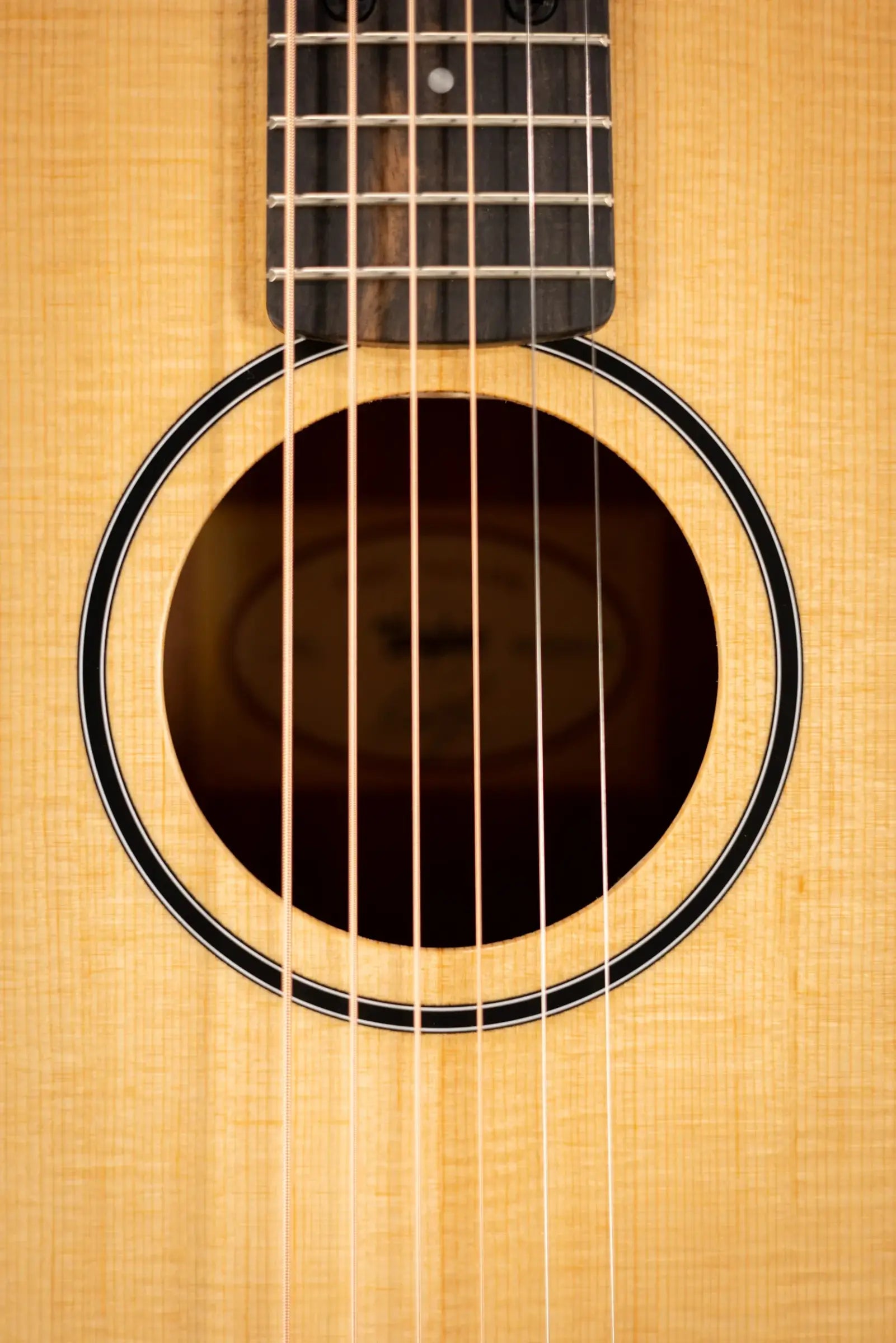 Taylor BT1 Baby Taylor Acoustic Guitar with Gig Bag