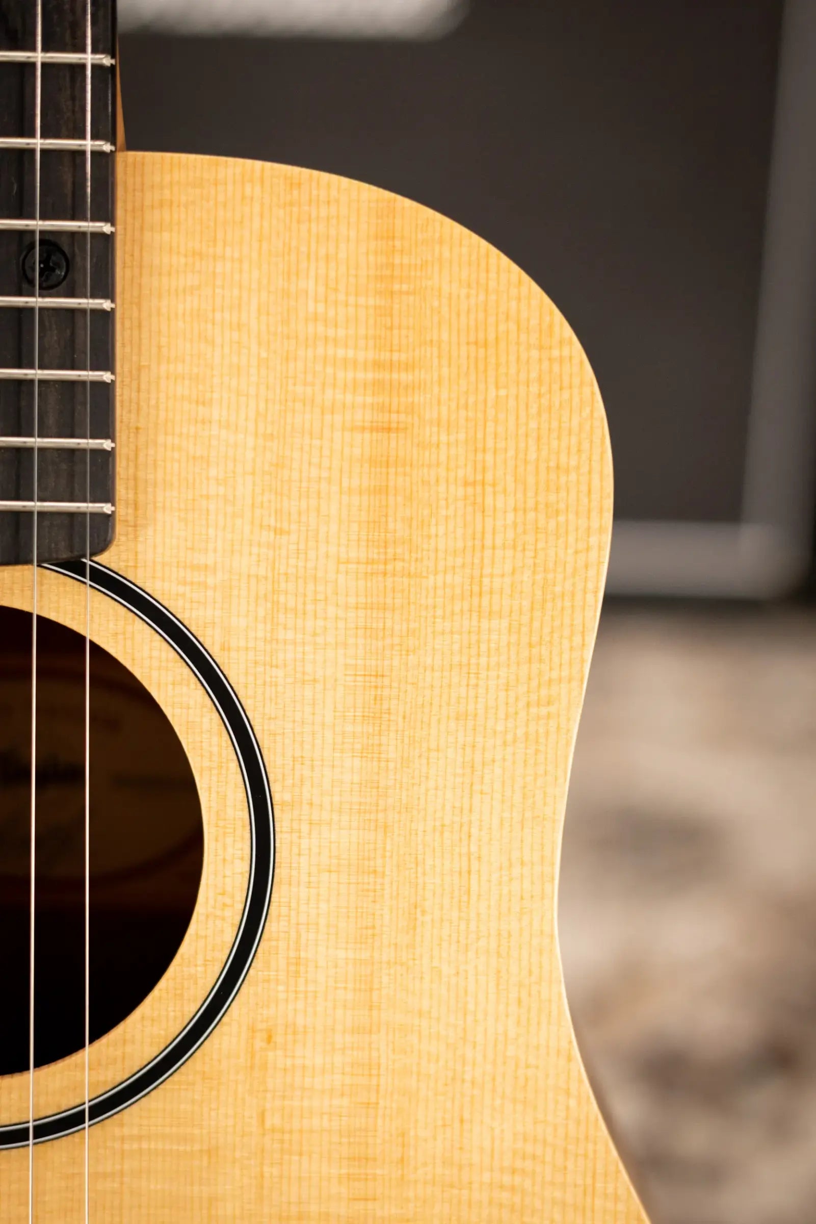 Taylor BT1 Baby Taylor Acoustic Guitar with Gig Bag