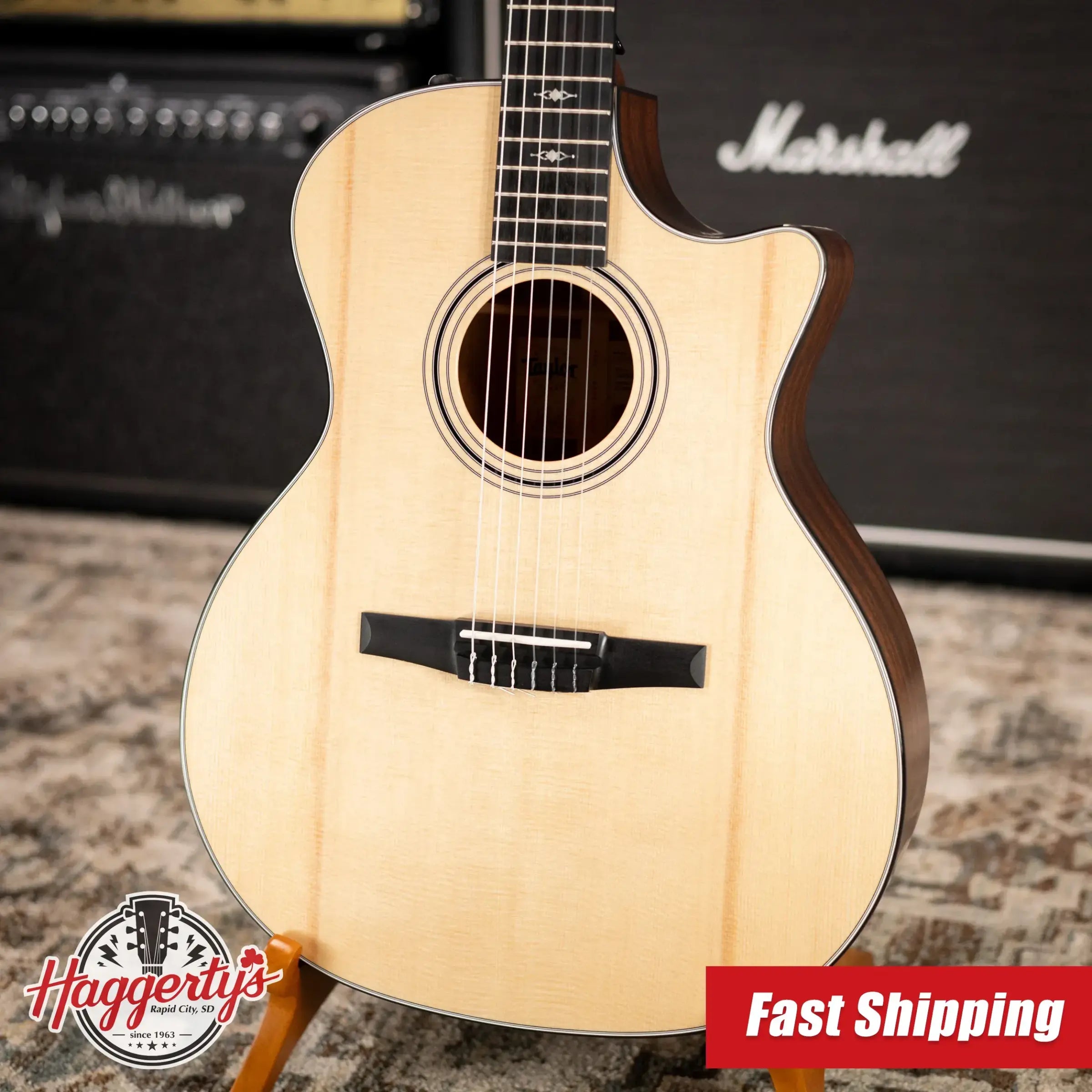 Taylor 314ce-N Nylon Grand Auditorium Acoustic/Electric Guitar with Hardshell Case