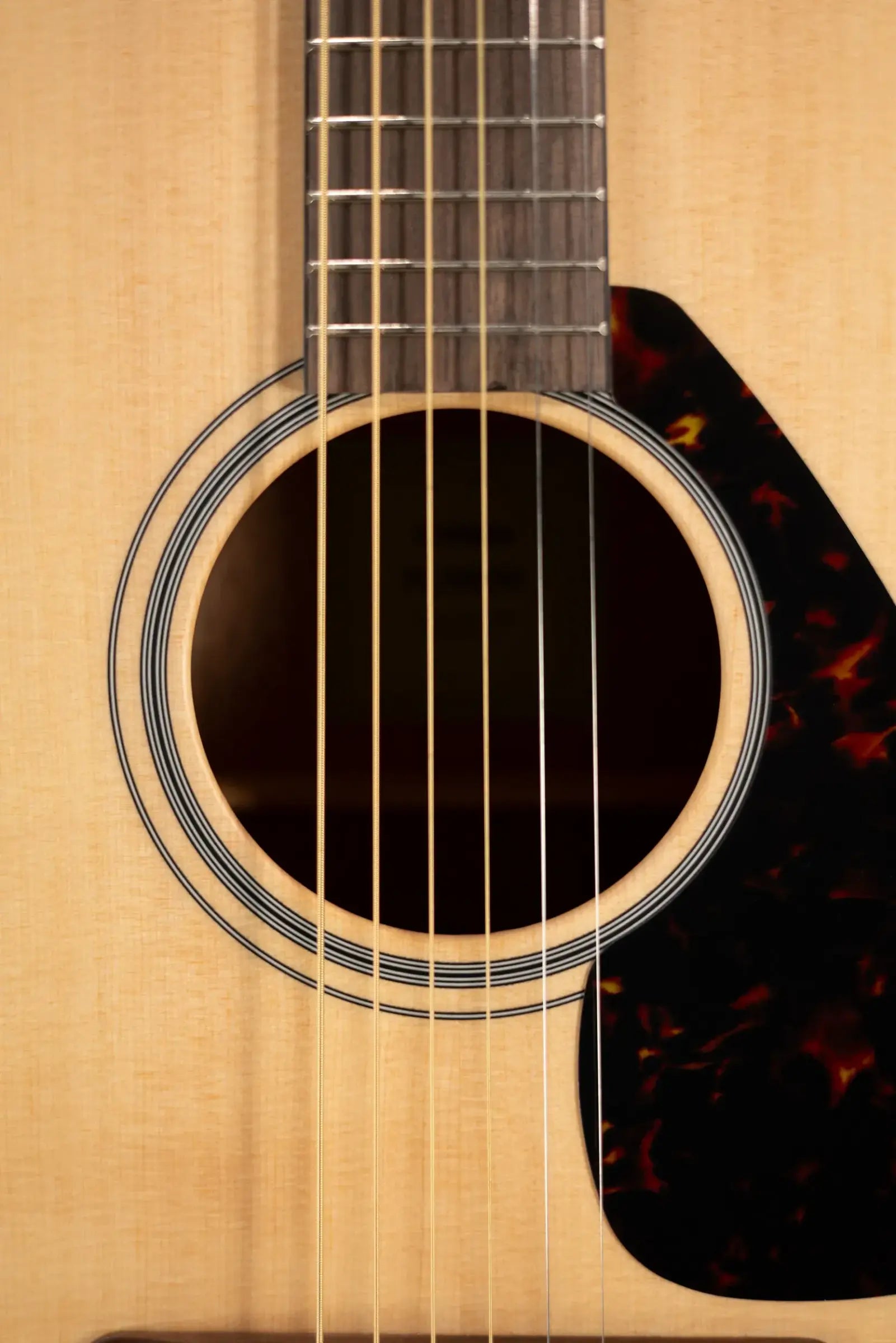 Yamaha FG800M Dreadnought Acoustic Guitar - Matte Finish