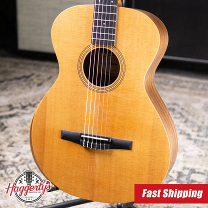 Taylor Academy 12e-N Nylon Grand Concert Acoustic/Electric Guitar with Gig Bag