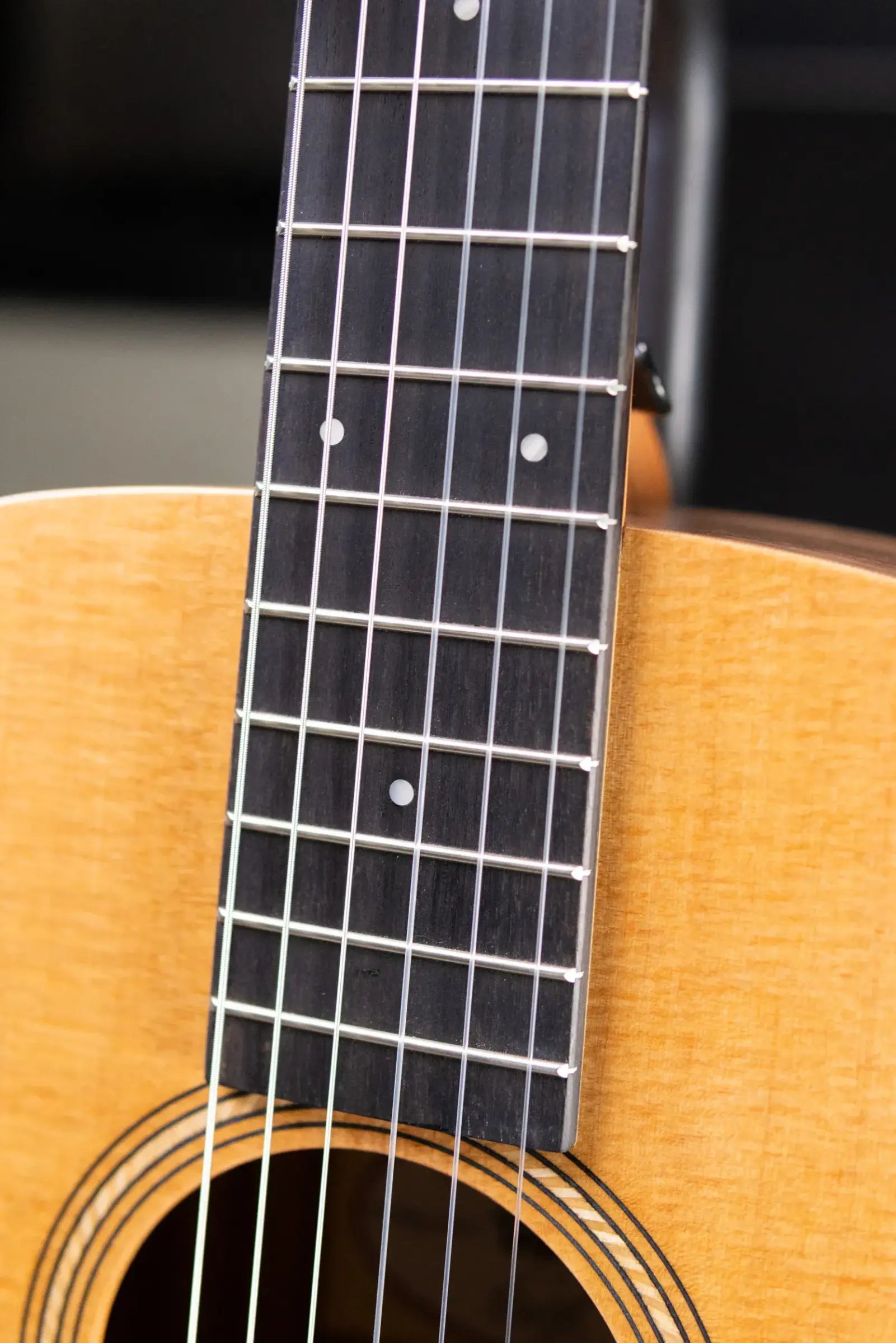 Taylor Academy 12e-N Nylon Grand Concert Acoustic/Electric Guitar with Gig Bag
