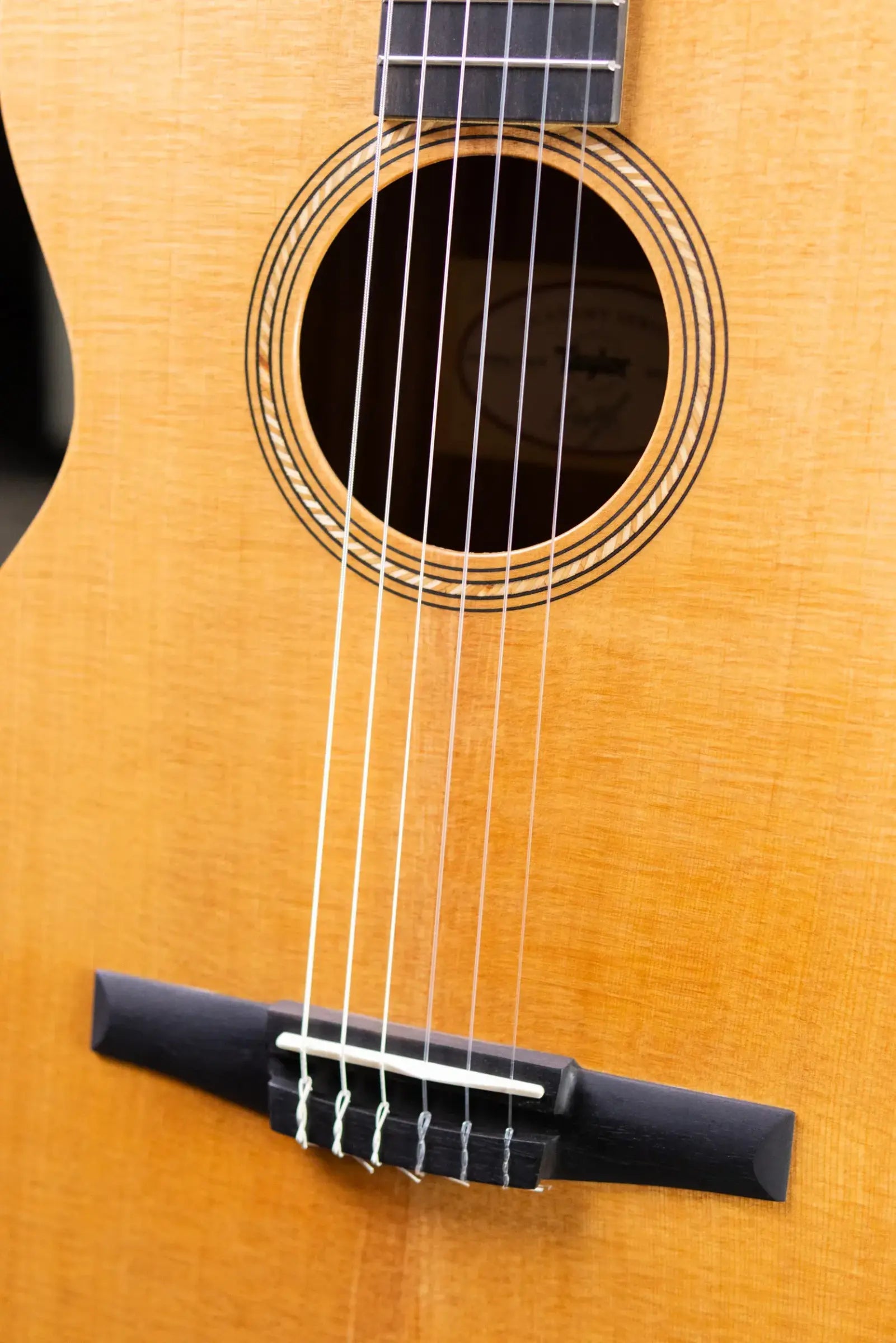 Taylor Academy 12e-N Nylon Grand Concert Acoustic/Electric Guitar with Gig Bag