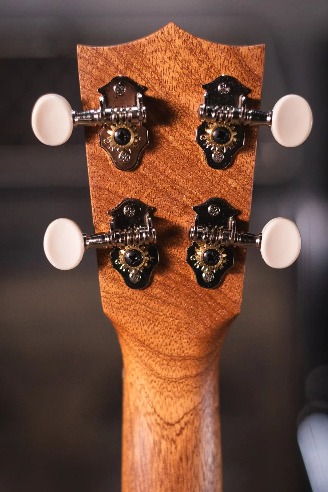 martin c1k concert ukulele haggertys 06