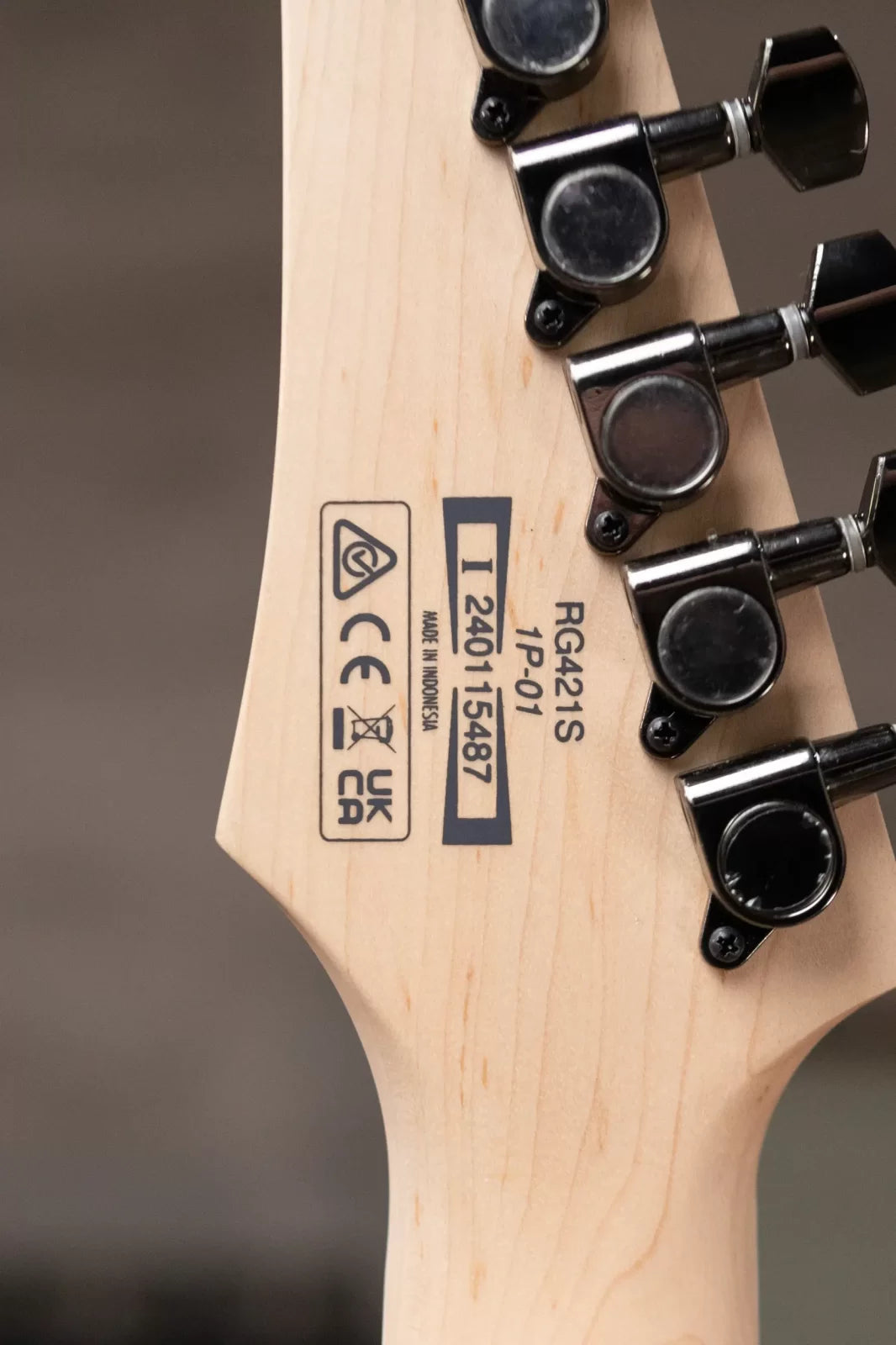 Ibanez RG421SSEM Electric Guitar - Sea Shore Matte