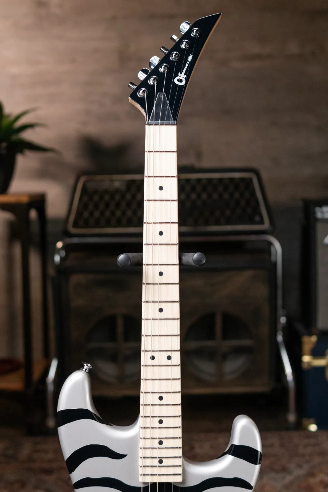 new 6 8 lbs Charvel Super Stock SD1 H 2PT Maple Fingerboard Silver Bengal haggertys 04