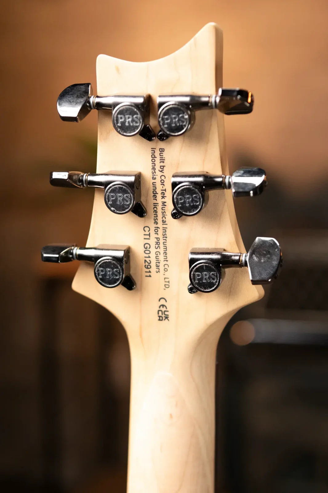 PRS SE Sandblasted CE 24 LTD - Sandblasted Blue with Gig Bag
