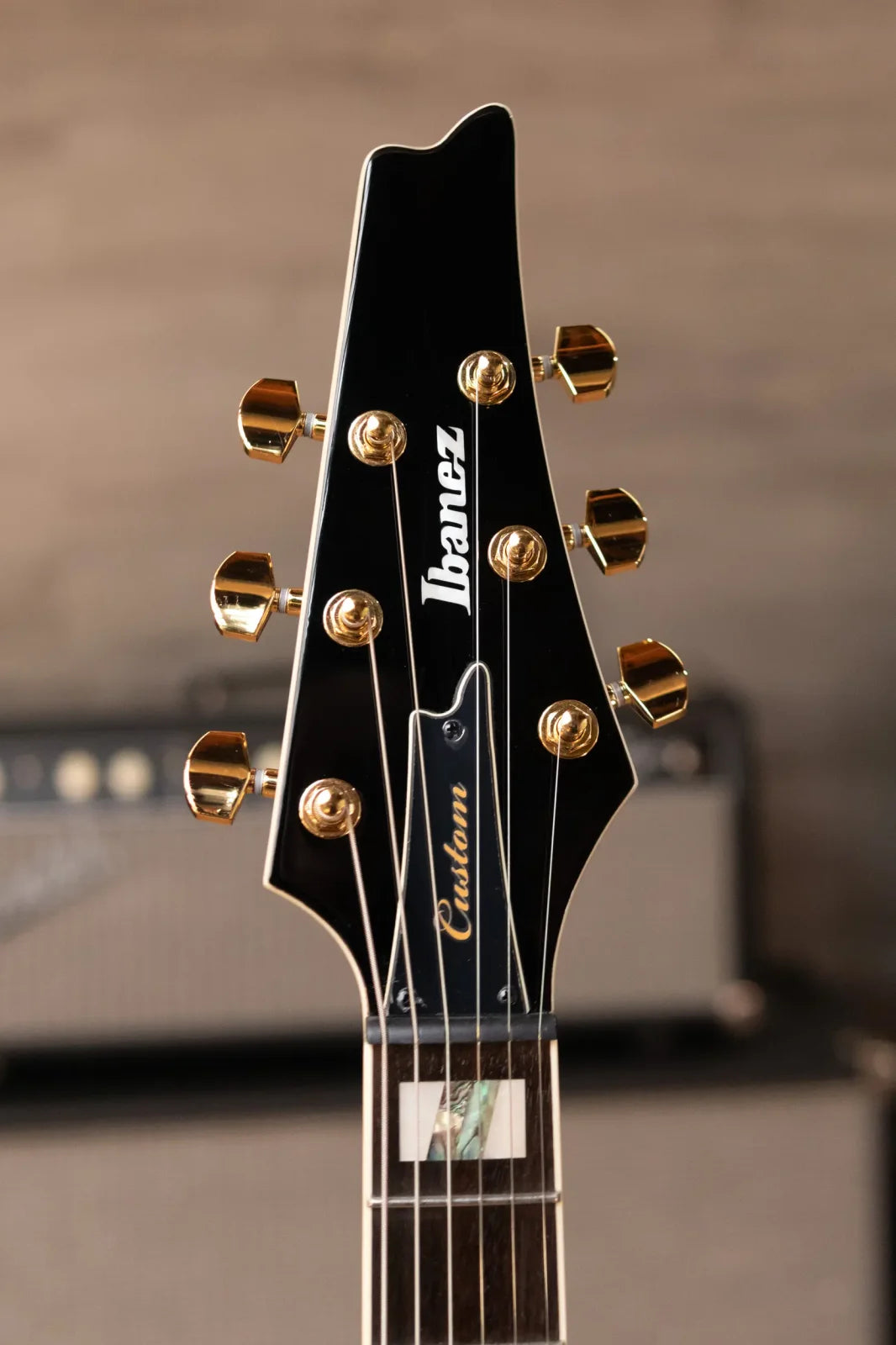 Ibanez FRM350BK Paul Gilbert Signature Electric Guitar - Black with Gig Bag