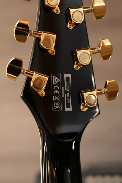 Ibanez FRM350BK Paul Gilbert Signature Electric Guitar - Black with Gig Bag