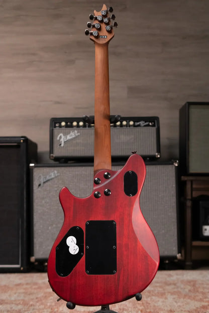 EVH Wolfgang WG Standard Exotic - Zebrawood