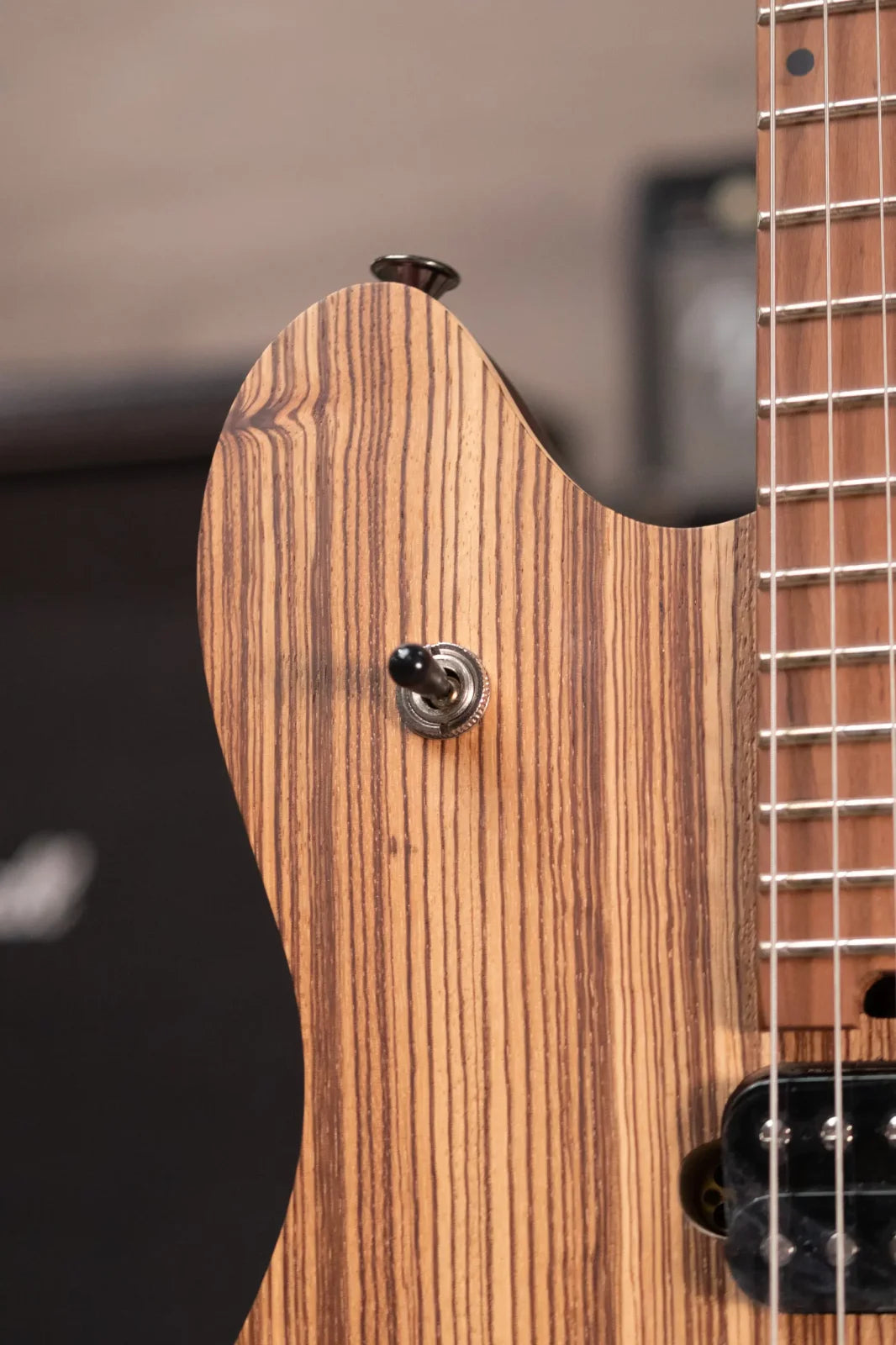 EVH Wolfgang WG Standard Exotic - Zebrawood