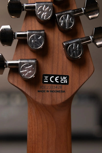 EVH Wolfgang WG Standard Exotic - Zebrawood