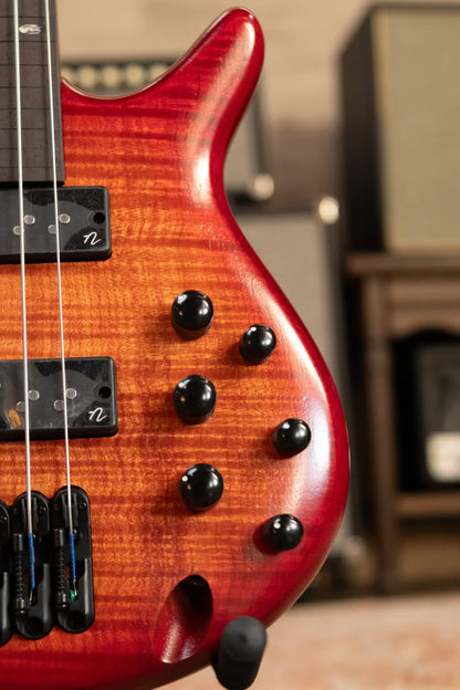 Ibanez SRD905FBTL 5-String Fretless Electric Bass Guitar - Brown Topaz Burst Low Gloss