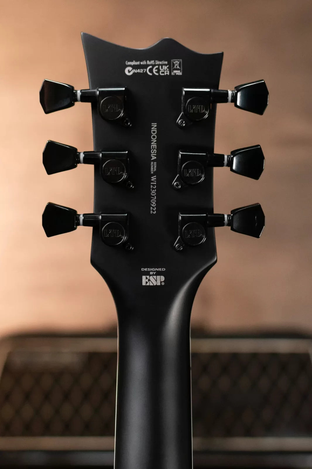 ESP LTD VOLSUNG-200 Electric Guitar - Black Satin