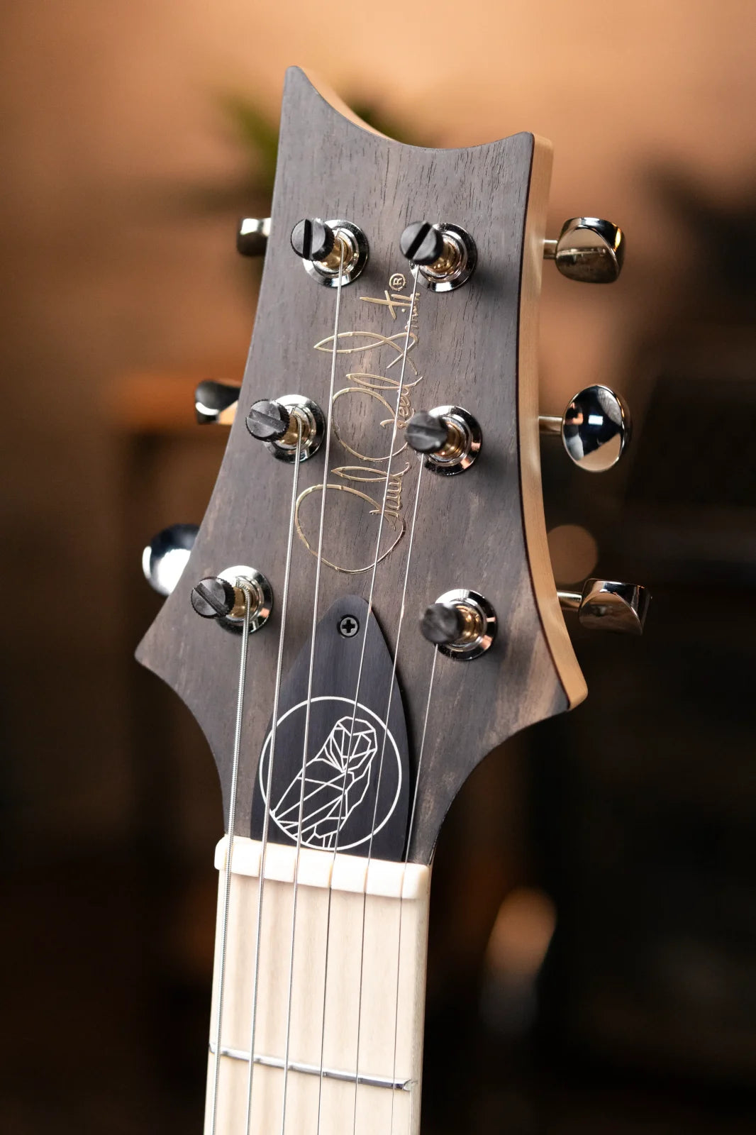 PRS Myles Kennedy Signature Maple Neck - Hunters Green with Gig Bag