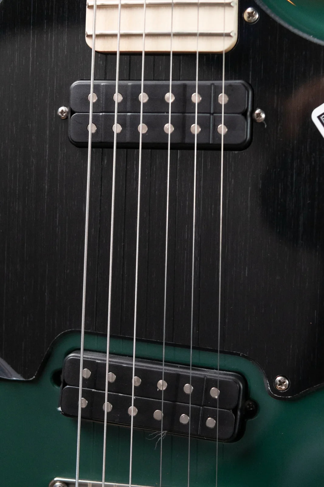 PRS Myles Kennedy Signature Maple Neck - Hunters Green with Gig Bag