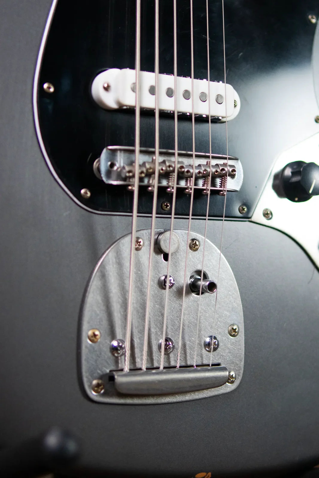 (RTO) Nash B-6 6-String Bass - Charcoal with Hardshell Case