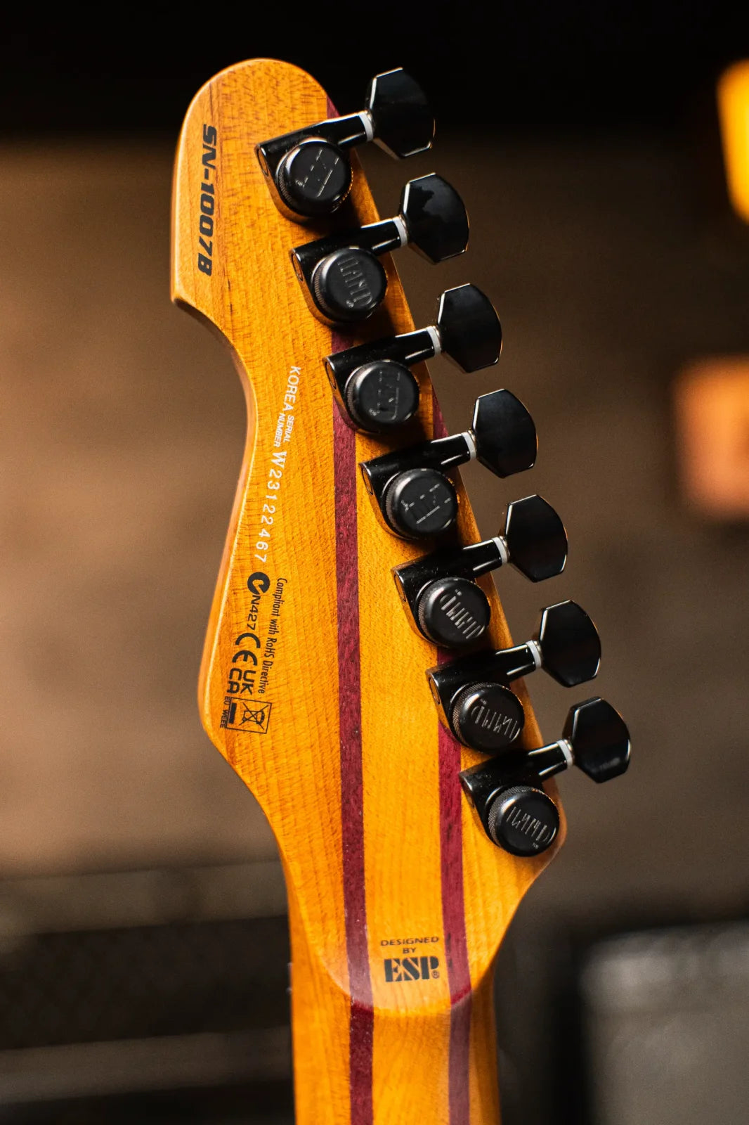 ESP LTD SN-1007HT Baritone Electric Guitar - Fireblast