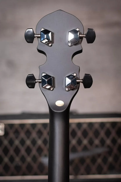 Gold Tone AC-4 Acoustic Composite Tenor Banjo