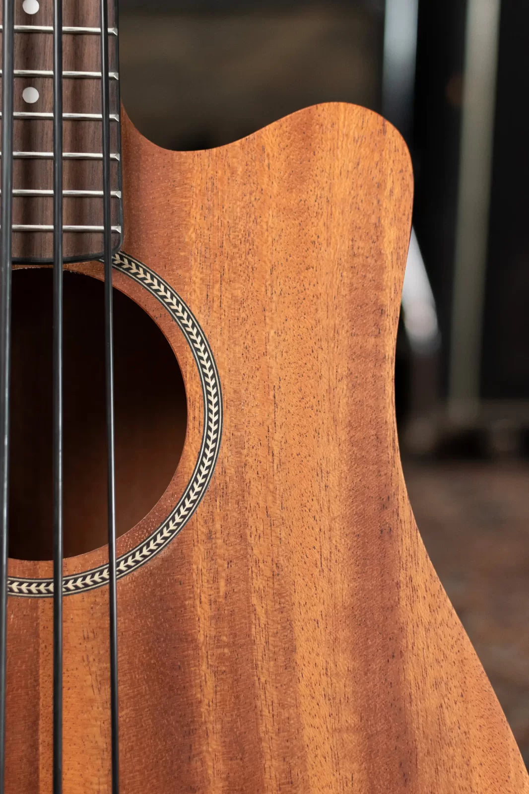Gold Tone M-Bass 23' Scale Acoustic-Electric MicroBass with Gig Bag