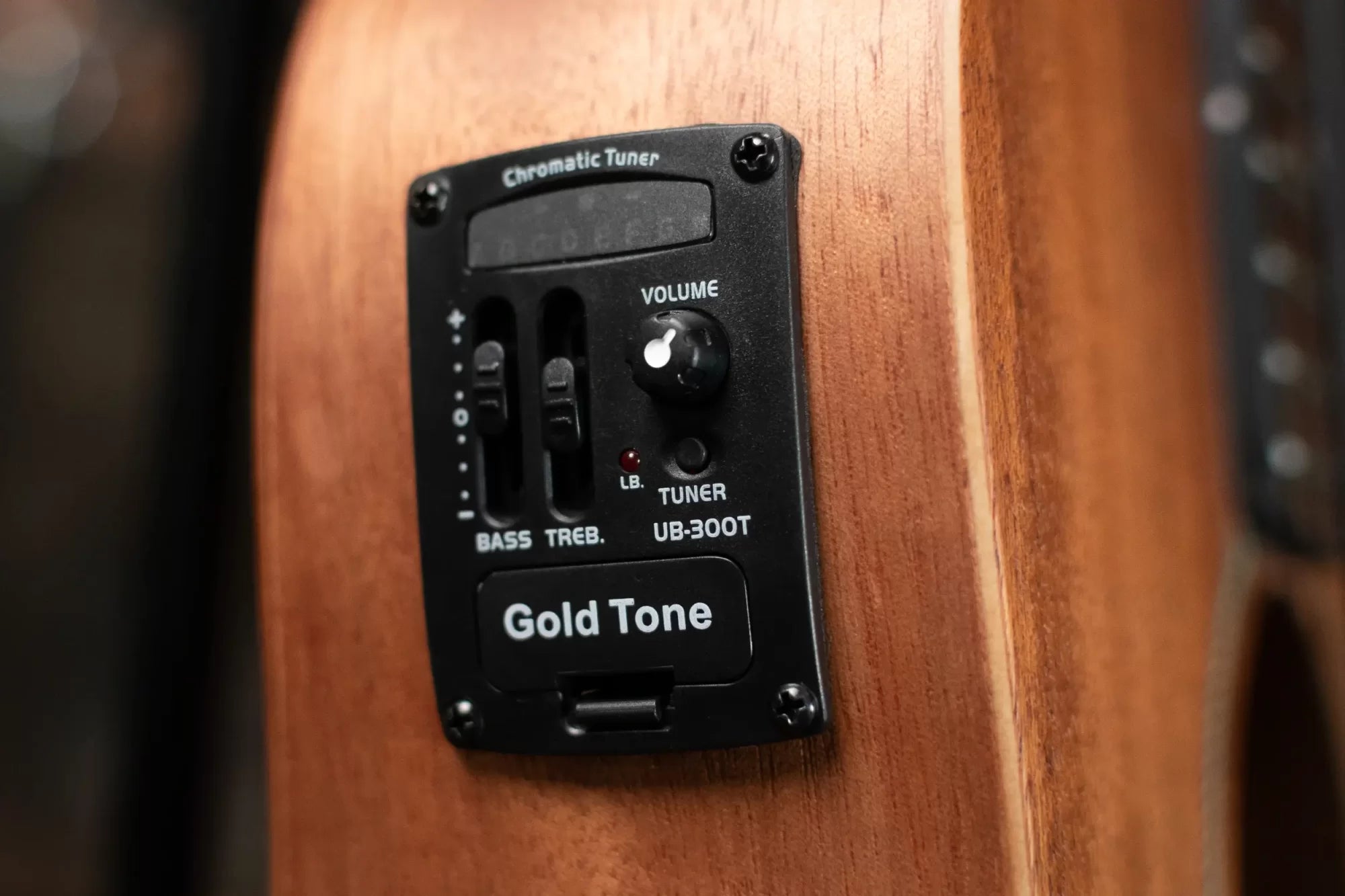 Gold Tone M-Bass 23' Scale Acoustic-Electric MicroBass with Gig Bag