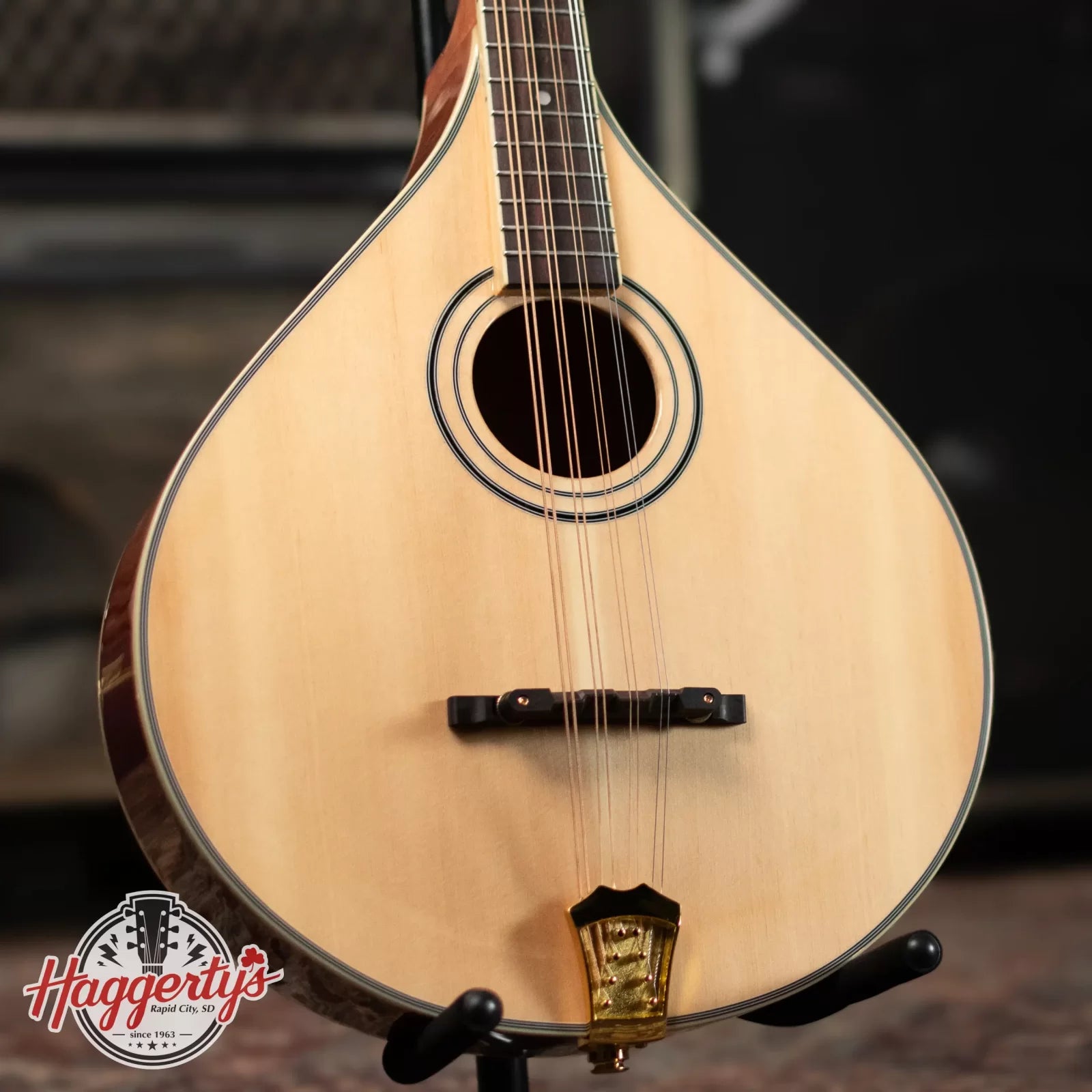 Gold Tone OM-800+ Octave Mandolin with Case