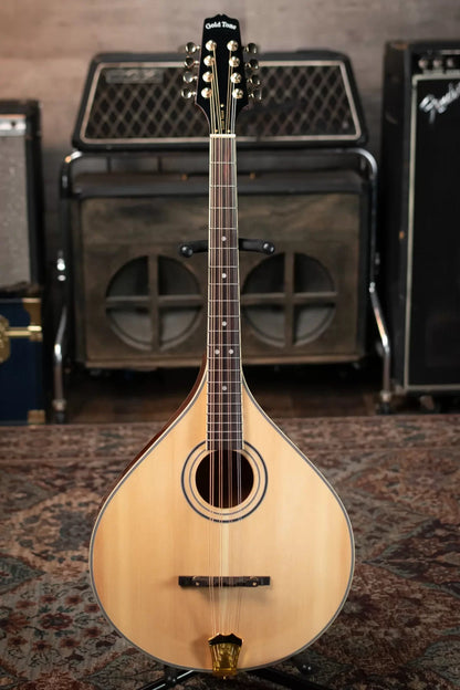 Gold Tone OM-800+ Octave Mandolin with Case