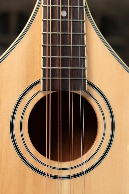 Gold Tone OM-800+ Octave Mandolin with Case