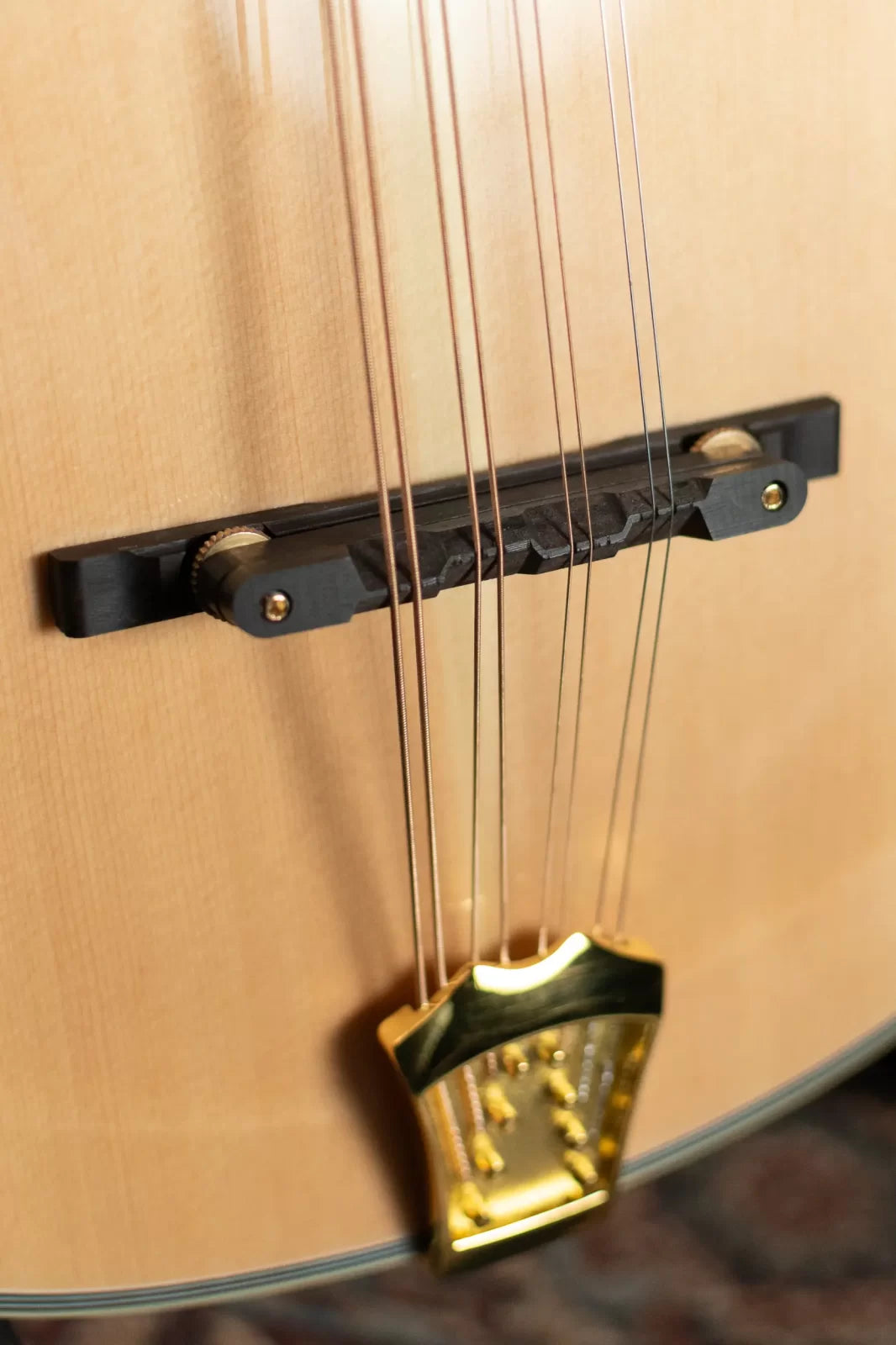 Gold Tone OM-800+ Octave Mandolin with Case