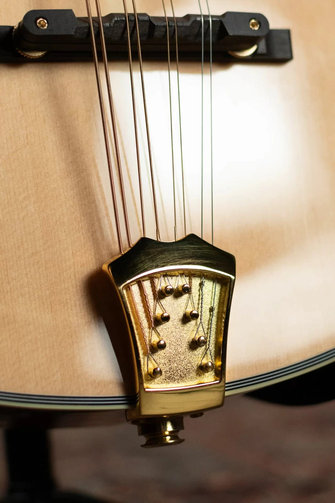 Gold Tone OM-800+ Octave Mandolin with Case