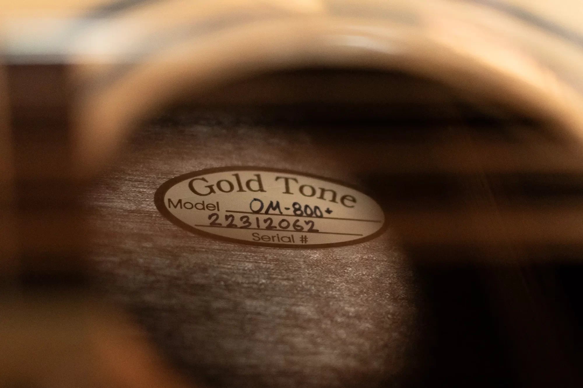 Gold Tone OM-800+ Octave Mandolin with Case