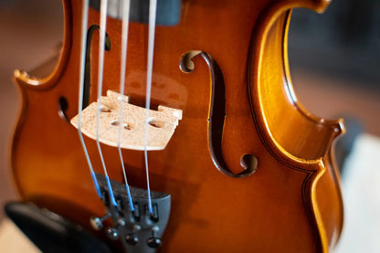 Howard Core A25e Viola Rental Outfit - 14"