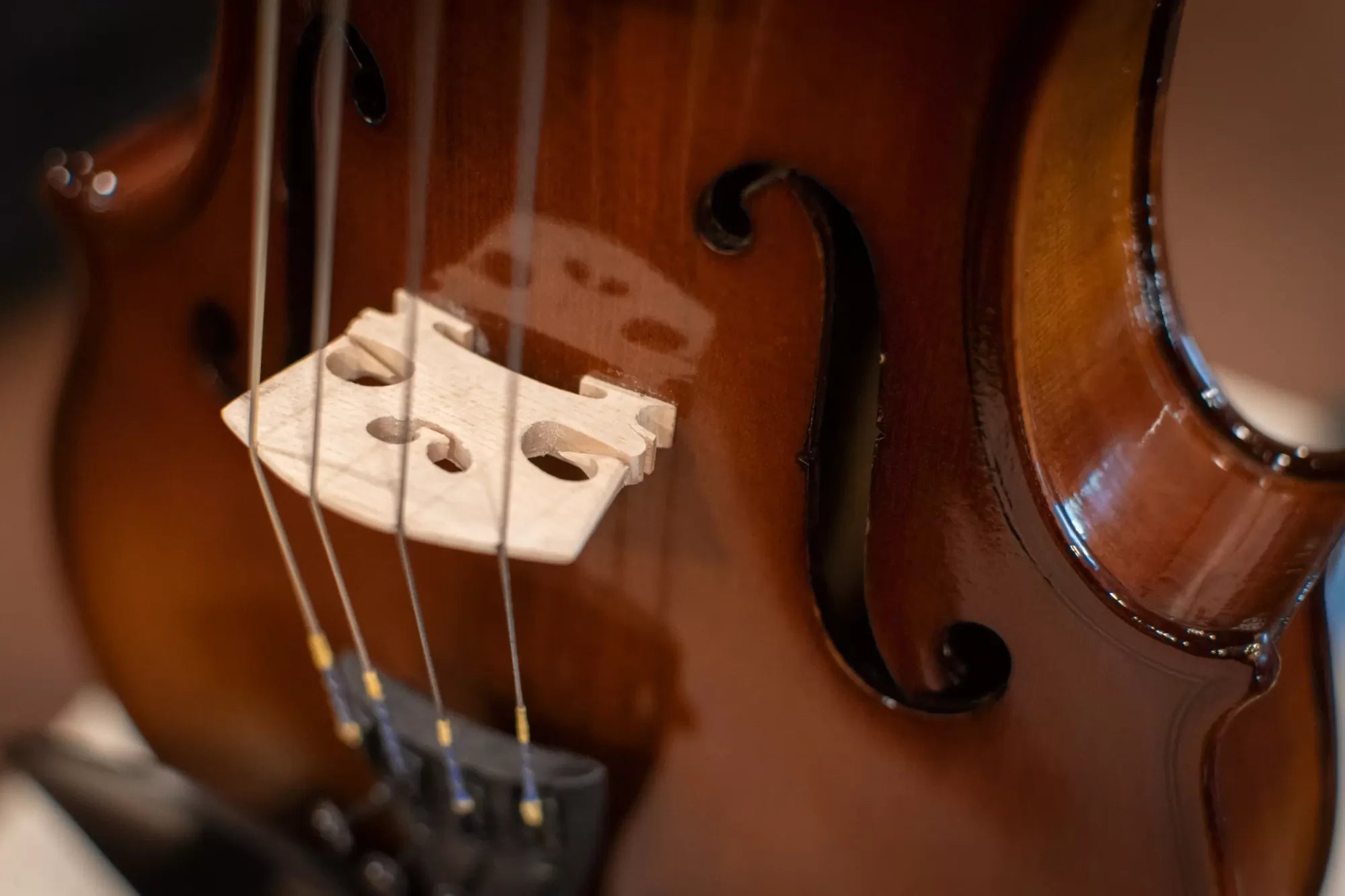Krutz 200 Series Viola 14"