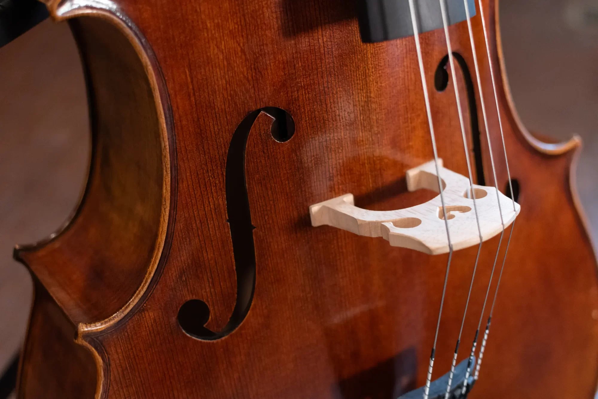 Krutz 250 Series Cello 4/4