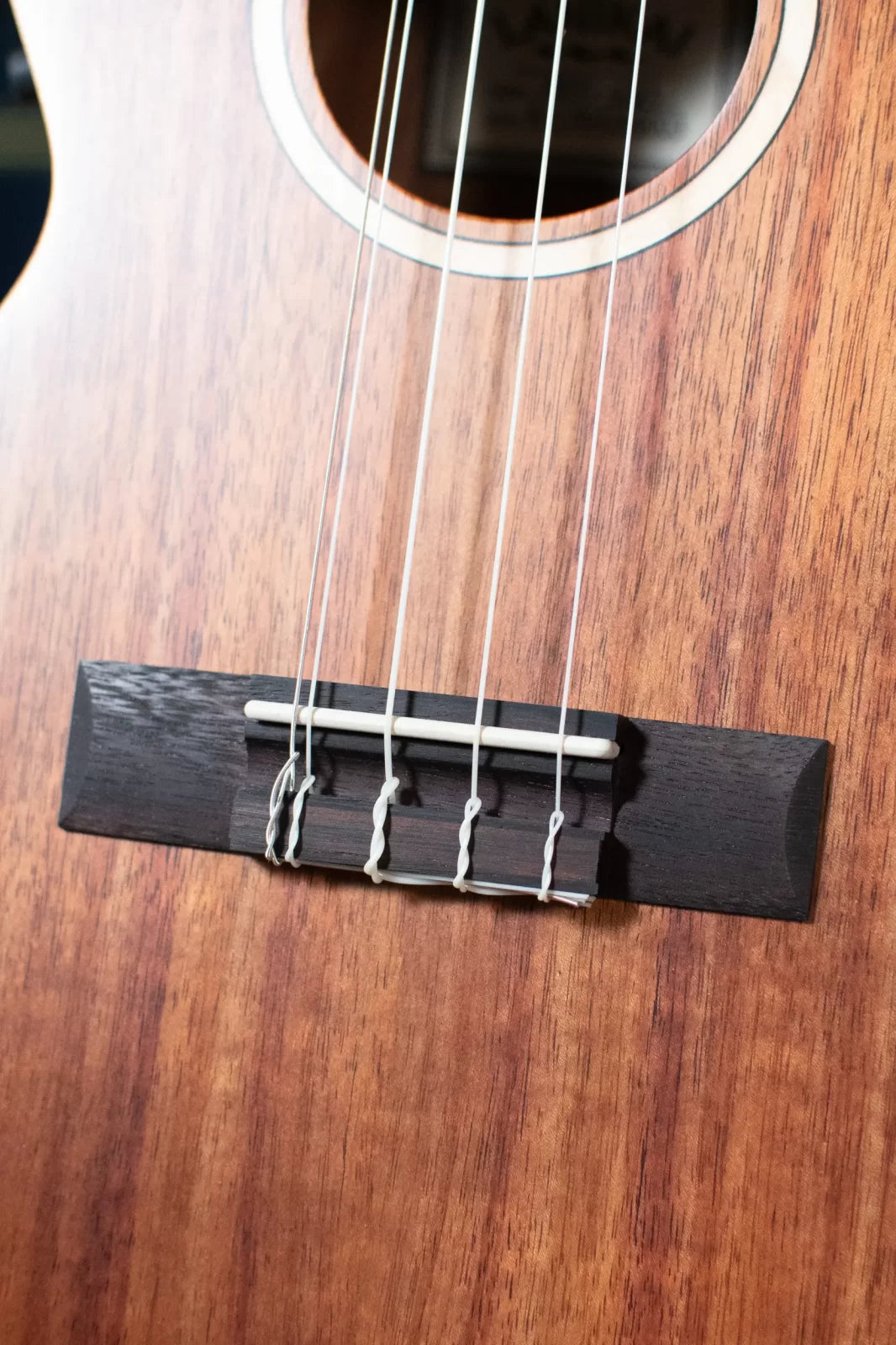 Lanikai ACST-5CET Acacia Solid Top 5-String Tenor Ukulele w/Electronics & Gig Bag