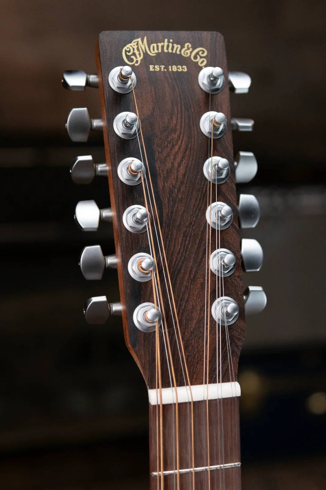 Martin D-X2E Brazilian 12-String Acoustic/Electric with Gig Bag