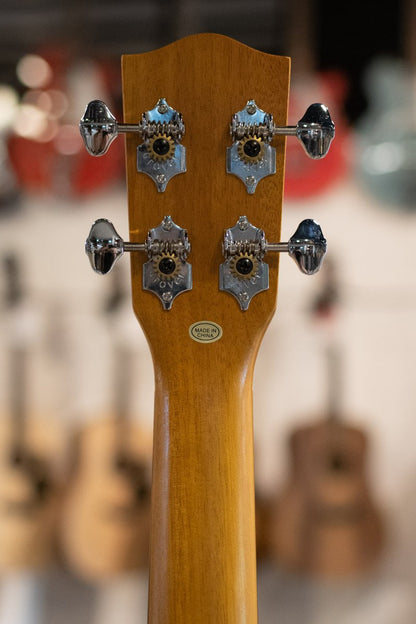 Ohana TK-10 Tenor Ukulele Starter Pack - Floor Model