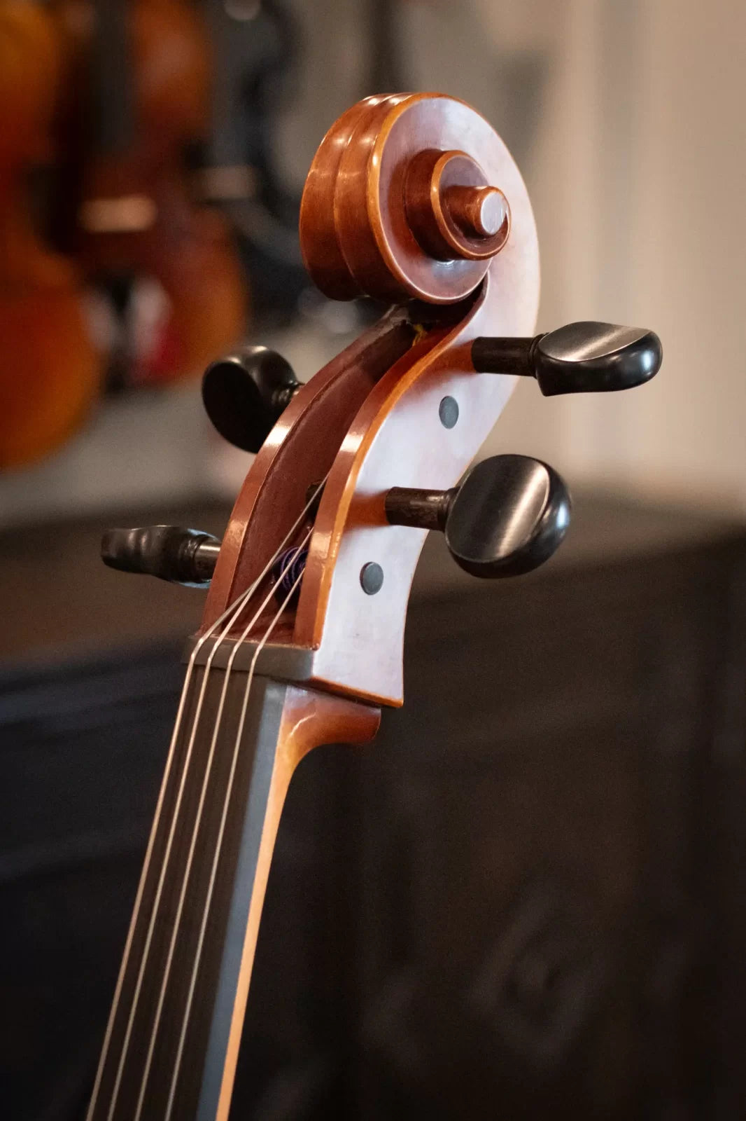 STC-017 Cello 1/2