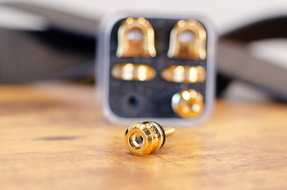 new Schaller S Locks Security Strap Locks Gold haggertys 14