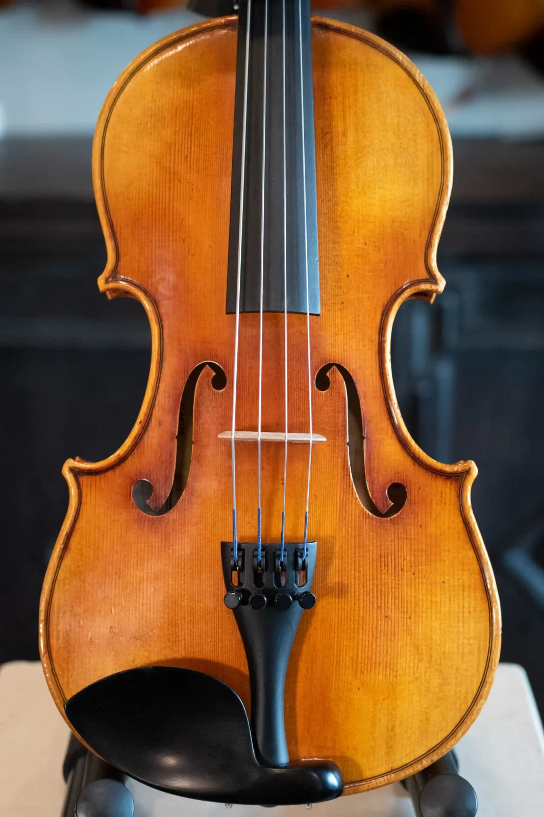 Scott Cao STA-017E 12" Viola Outfit