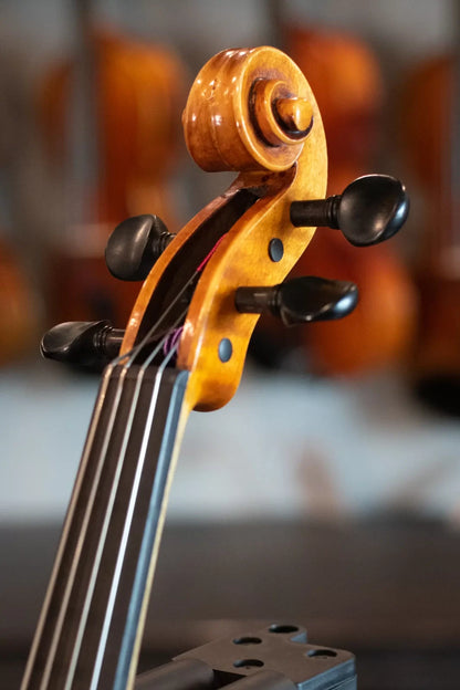 Scott Cao STA-017E 12" Viola Outfit