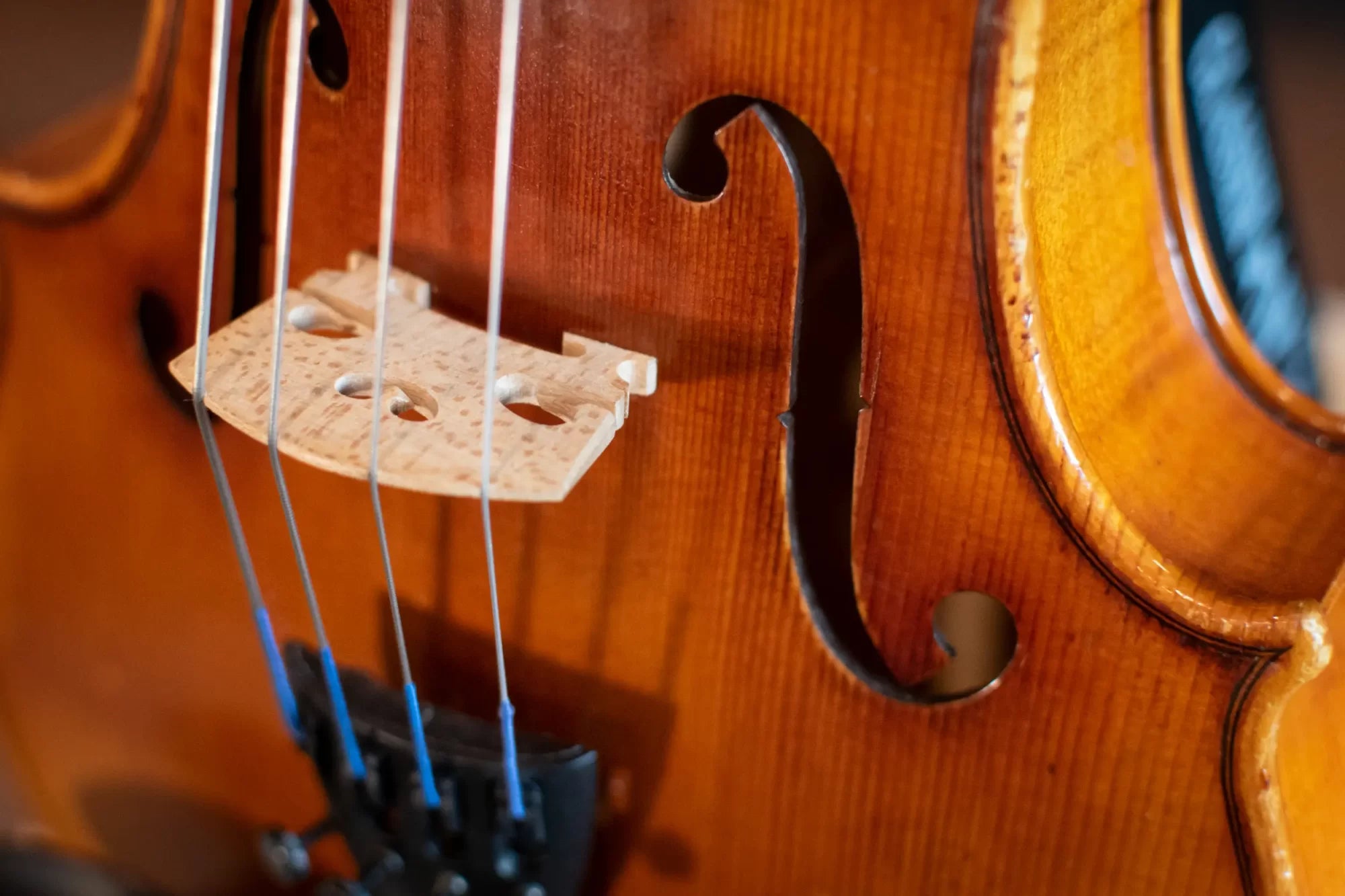 Scott Cao STA-017E 12" Viola Outfit