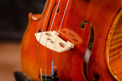 Scott Cao STA-850 Viola - 15.5"