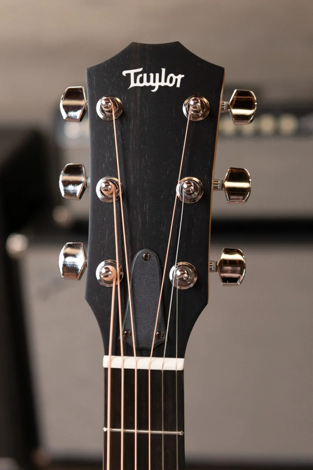 Taylor 112ce Grand Concert Acoustic/Electric Guitar with Gig Bag - Demo