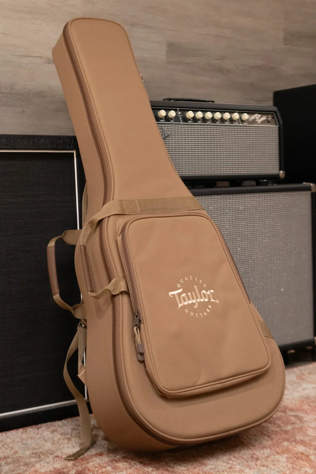 Taylor 112ce Grand Concert Acoustic/Electric Guitar with Gig Bag - Demo