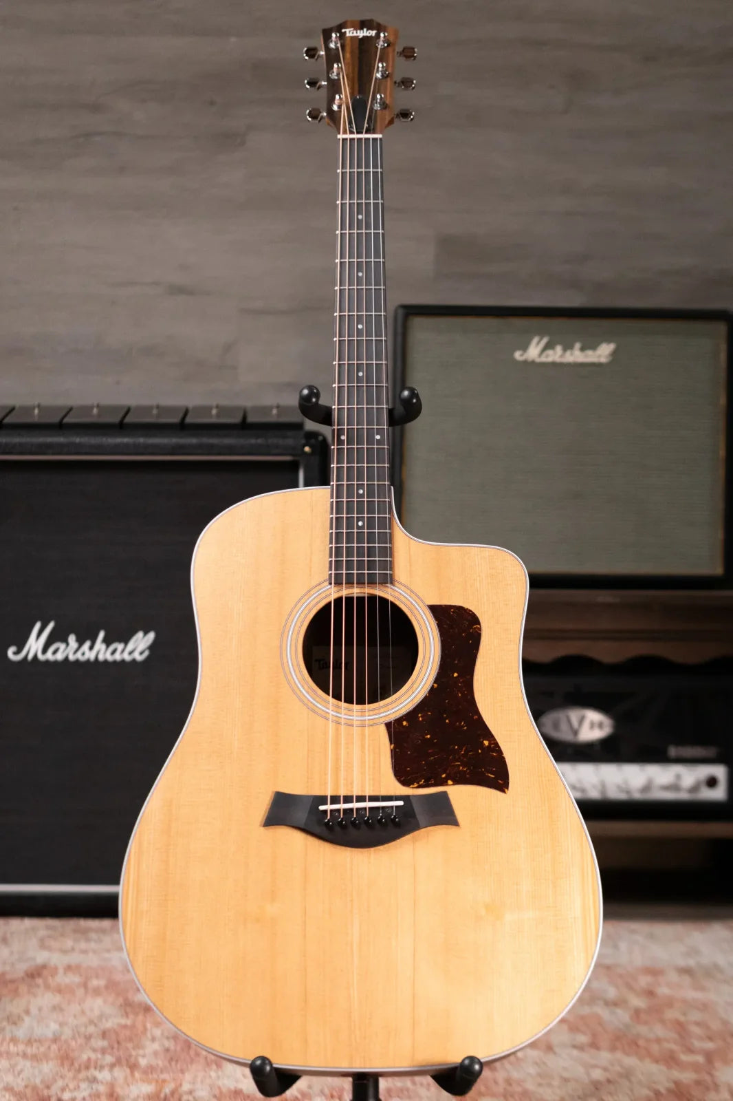 Taylor 210ce Dreadnought Acoustic/Electric Guitar with Gig Bag - Demo