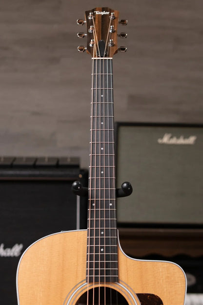 Taylor 210ce Dreadnought Acoustic/Electric Guitar with Gig Bag - Demo