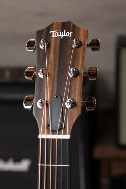Taylor 210ce Dreadnought Acoustic/Electric Guitar with Gig Bag - Demo